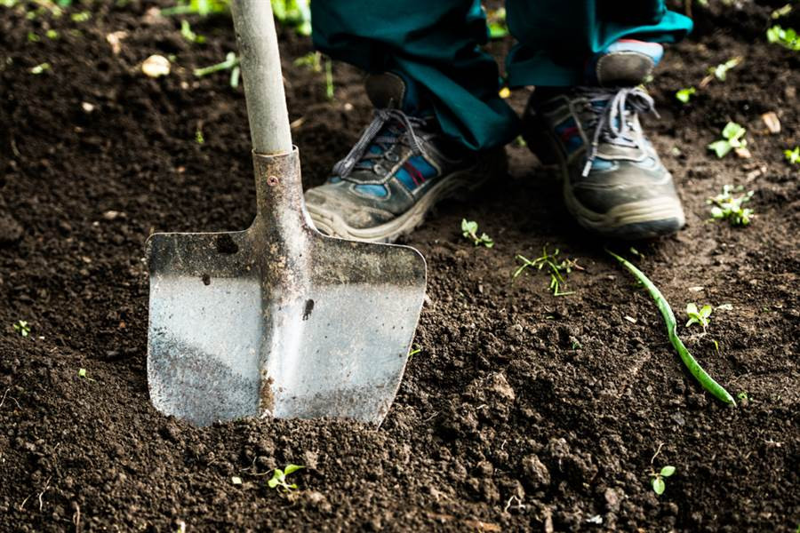 Giai phong mat bang, cong nhan tim thay thu 