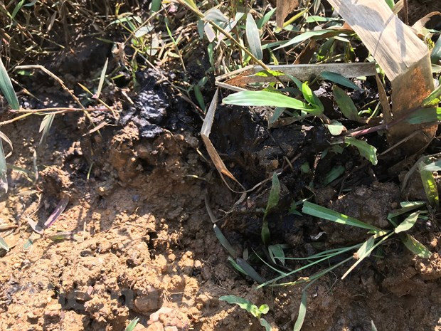 Tan mat xem bun thai nghi nhiem dau tai cua suc xa be chua song Da-Hinh-8