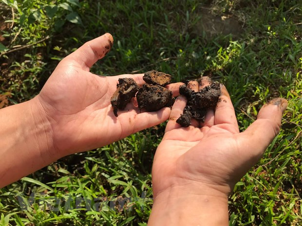 Tan mat xem bun thai nghi nhiem dau tai cua suc xa be chua song Da-Hinh-7