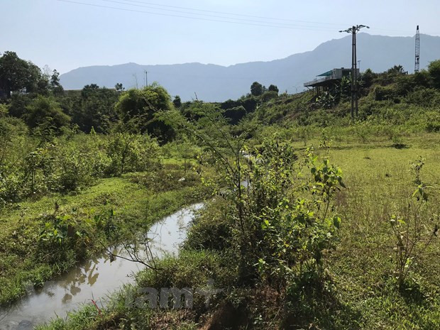Tan mat xem bun thai nghi nhiem dau tai cua suc xa be chua song Da-Hinh-11
