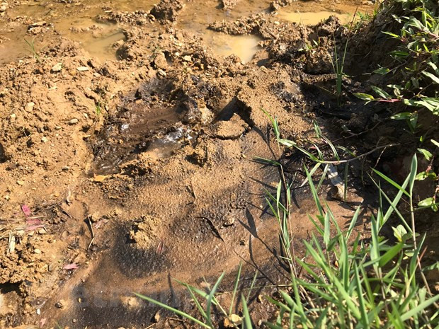 Tan mat xem bun thai nghi nhiem dau tai cua suc xa be chua song Da-Hinh-5