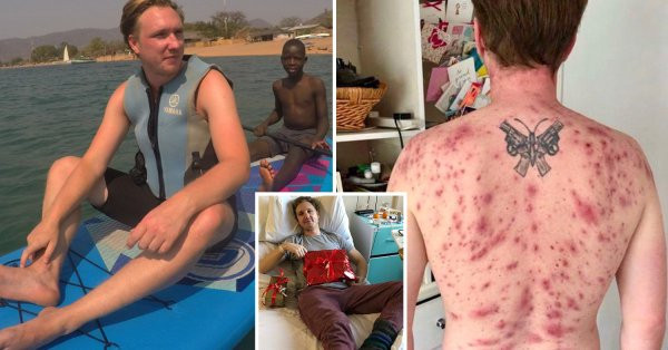 Tuong du lich vui ve, nao ngo sinh vat dang so chui vung kin