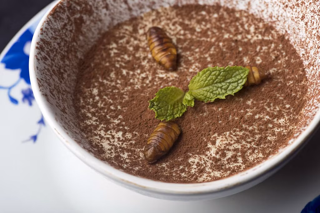 Món tráng miệng tiramisu làm từ bột tằm xay nhuyễn kèm 3 nhộng tằm. Ảnh: Bloomberg.