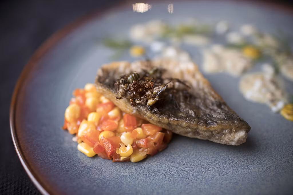 Cá biển nướng với sốt cà chua được dùng kèm kiến muối sốt rượu vang trắng, trứng kiến chiên giòn và salad ngô. Ảnh: Bloomberg.