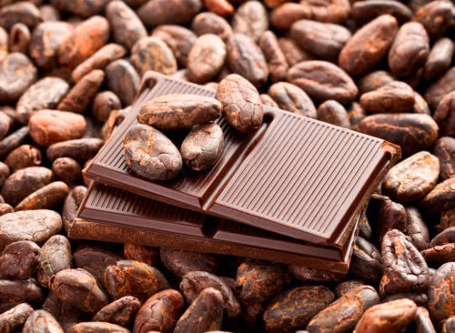 Mất khoảng một năm để một cây ca cao ra đủ quả để làm 10 thanh socola Hershey: Theo nghiên cứu, mỗi cây ca cao chỉ sản xuất đủ quả để làm 10 thanh socola Hershey có kích thước bình thường trong một năm. Ảnh: Eatthis.