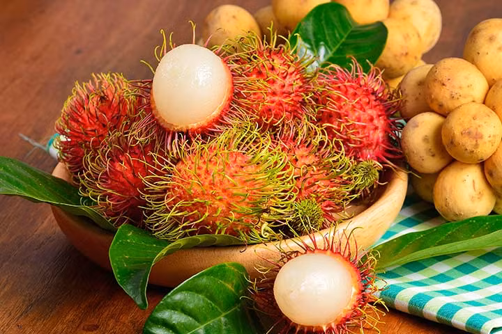 Nghiên cứu cho thấy rằng chôm chôm đã được sử dụng từ thời cổ đại cho tính chất kháng khuẩn của nó. Trái cây này bảo vệ cơ thể chống lại nhiều bệnh nhiễm trùng. Ảnh: Internet.