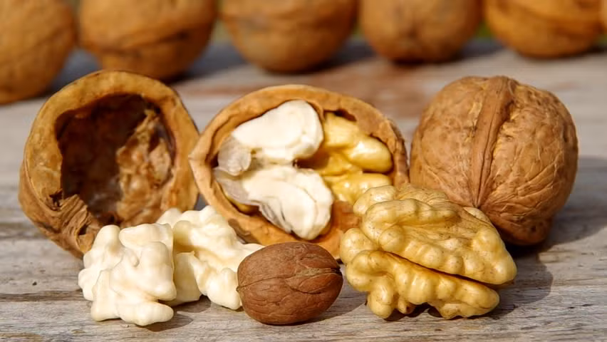 14. Quả óc chó: Óc chó giàu chất béo lành mạnh có tính chống viêm. Các nhà khoa học Mỹ đã phát hiện ra rằng khi ăn óc chó làm giảm triglyceride ở gan, làm giảm mức độ enzim liên quan đến sự cân bằng nội bộ gan và ức chế các gen liên quan đến viêm gan. Ảnh: Shutterstock.