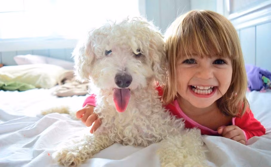 5. Nuôi thú cưng: Việc chăm sóc con vật cưng trong gia đình sẽ làm giảm mức độ căng thẳng và áp lực cuộc sống bởi vì chúng là người bạn trung thành. Nuôi thú cưng được chứng minh rằng sẽ giúp bạn có được niềm vui, tình cảm và cải thiện sức khỏe. Ảnh: Internet.