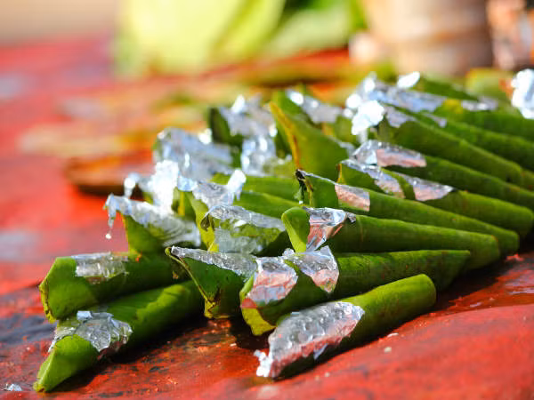 Có thể thêm một ít hạt tiêu đen vào hai lá trầu và nhai nó mỗi ngày một lần. Phương pháp này hỗ trợ giảm cân cực hiệu quả bởi cả hai yếu tố đều làm giảm chất béo từ cơ thể. Ảnh: Boldsky.