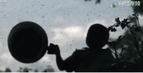 Người dân châu Phi đang “thu hoạch” ruồi.