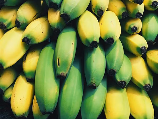 Chuối là thực phẩm tốt cho sức khỏe thường có quanh năm. Ảnh: Boldsky.