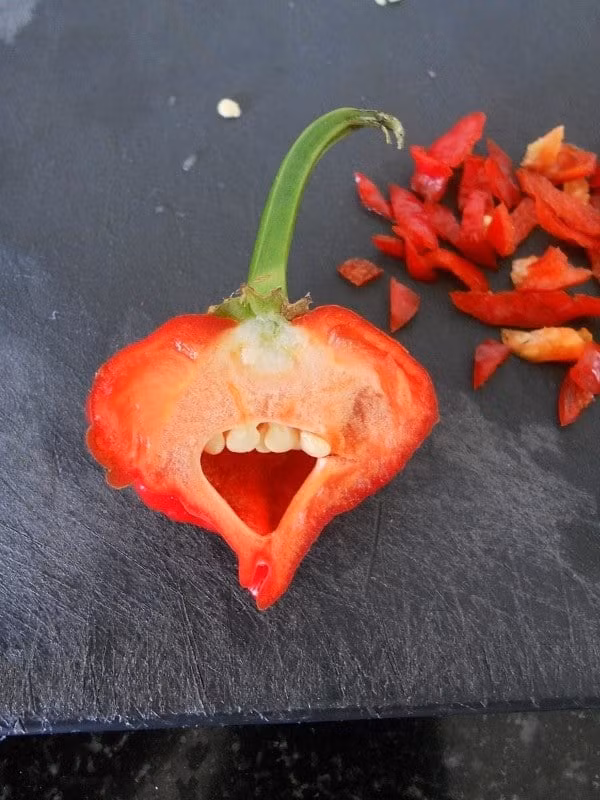 Trái ớt này trông như đang mỉm cười vậy. Ảnh: BP.