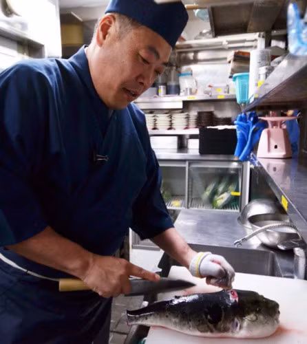 9. Cá nóc: Cá nóc khi được sử dụng để chế biến thành món ăn sẽ chứa một lượng lớn chất độc tetrodotoxin. Đầu bếp phải trải qua đợt huấn luyện đặc biệt để học nấu ăn đúng cách và có thể cắt bỏ các bộ phận độc hại một cách thuần thục. Tuy nhiên, không gì có thể đảm bảo độ an toàn của món ăn này. Mỗi năm, có không ít người chết vì ngộ độc cá nóc ở Nhật Bản. Ảnh: Brightside.