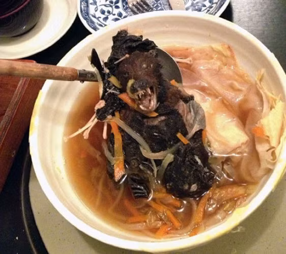 1. Súp dơi: Dơi là một phần của ẩm thực châu Á, thường được gọi là "gà của hang động". Nhiều người tin rằng, súp thịt dơi rất ngon và có tác dụng chữa bệnh. Nhưng trong thực tế, dơi có thể mang mầm bệnh cho con người, thế nên đây cũng là món ngon nguy hiểm không được khuyến khích. Ảnh: Brightside.