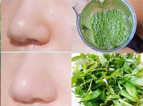 Luu ngay cong thuc lam dep da, lap day mun ro bang la rau ram sieu don gian-Hinh-3