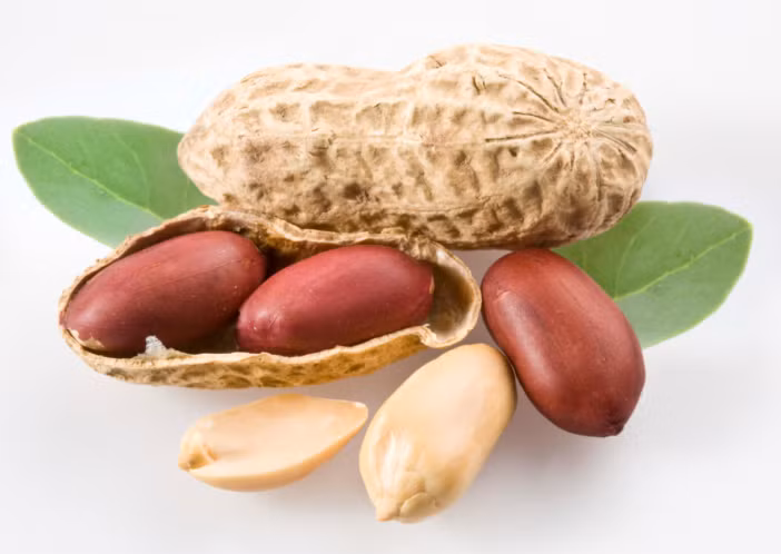 An lac se mang lai loi ich gi cho suc khoe?