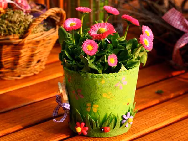 Không chỉ cải thiện chất lượng không khí, cây cảnh còn loại bỏ vi khuẩn và các hạt bụi khỏi không khí, đặc biệt là vào mùa đông. Điều này giúp chúng ta hạn chế được một số bệnh tật. Sau đây là 9 loại cây trồng lọc không khí tốt mà bạn nên đặt trong phòng ngủ. Ảnh: Boldsky.