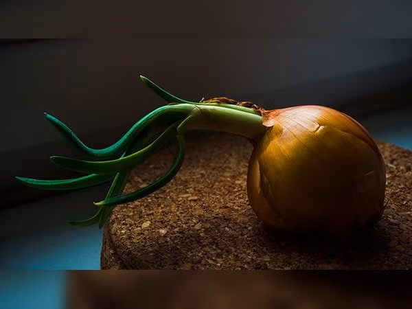 Khi nghẹt mũi, bạn có thể ăn một chút súp tỏi để thoát khỏi tình trạng khó chịu này. Ảnh: Boldsky.