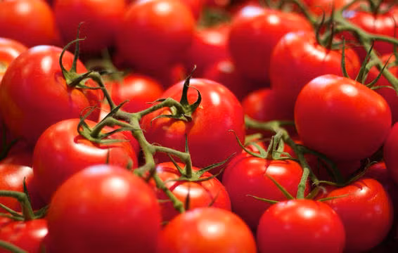 Cà chua nấu chín: Cùng với beta-carotene, một chất chống oxy hoá trong chế độ ăn là lycopene rất hữu dụng để phòng ngừa ung thư. Các loại trái cây và rau cải đỏ như cà chua, dưa hấu, đu đủ, ổi đỏ, ớt chuông đỏ... là nguồn cung cấp lycopene tốt. Cà chua nấu chín giúp cơ thể hấp thụ được nhiều chất chống oxy hóa lành mạnh. Ảnh: Prevention.