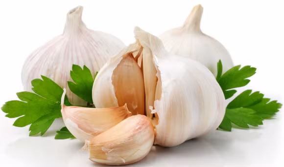 Tỏi: Mật ong khi hấp cùng với tỏi làm tăng tính kháng sinh tự nhiên, giảm viêm họng, tăng sức đề kháng. Ảnh: ConnectNigeria.