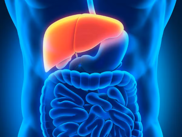 6. Làm sạch và giải độc gan: Tiêu thụ nước ép cà rốt thường xuyên giúp giải phóng độc tố khỏi gan. Nước ép cà rốt giúp loại bỏ độc tố khỏi da và cơ thể. Đây là một trong những lợi ích sức khoẻ hàng đầu của nước ép cà rốt. Ảnh: Boldsky.