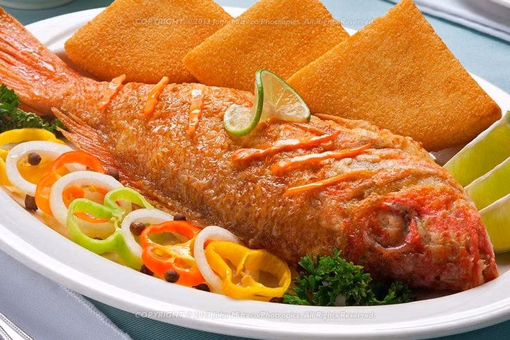 Meo hay cuoc song: Bi kip ran ca khong bi nat