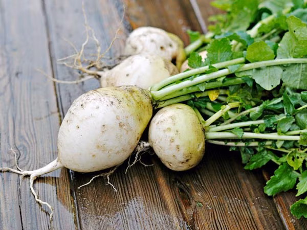 Củ cải trắng: Củ cải chứa nhiều vitamin, khoáng chất và chất xơ. Đây là lý do tại sao bạn nên đưa chúng vào chế độ ăn uống của bạn. Củ cải được biết đến có thể điều chỉnh các kích thích tố tăng trưởng trong cơ thể của chúng ta, do đó nó đóng góp khá nhiều trong việc tăng chiều cao. Ảnh: Boldsky.