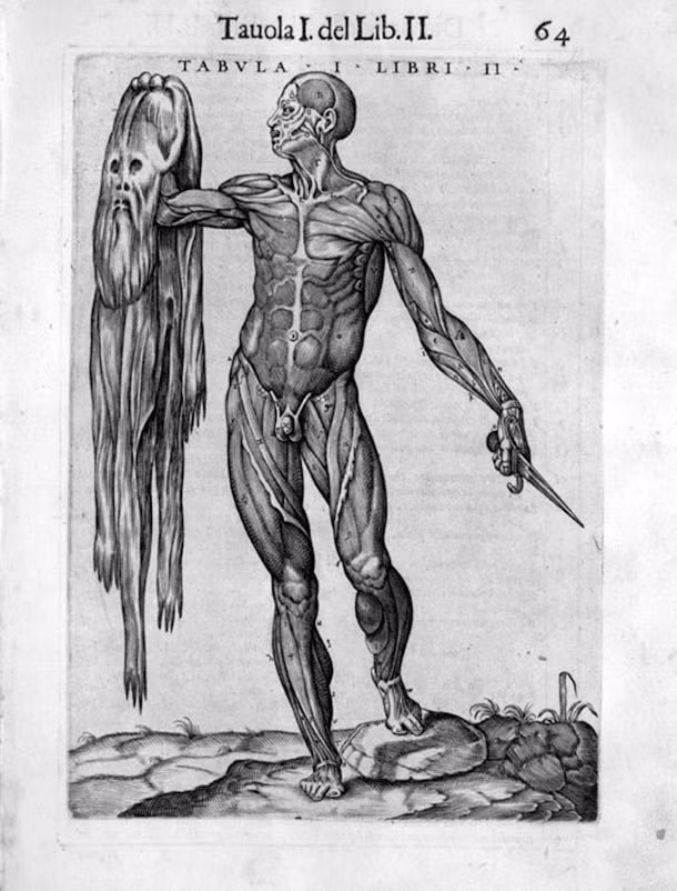 Lột da: Lột da là một trong những kiểu hành hình tử tù rùng rợn thời Trung cổ. Đây cũng là một trong những cái chết đau đớn khủng khiếp mà ai cũng phải ghê sợ. Kể từ năm 800 trước CN, nhiều nền văn minh cổ xưa đã xử dụng phương pháp tử hình này, bao gồm cả Hy Lạp, Trung Quốc. Ảnh: Ranker.