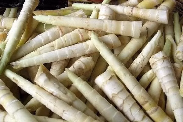 Măng sặt có vụ mùa khá ngắn, chỉ từ cuối tháng 2 đến đầu tháng 4 dương lịch, nếu mua trái vụ giá còn bị độn lên gấp đôi. Tại Hà Nội, giá măng khoảng 40.000 đồng/kg khi vào vụ. Ảnh: Dân Việt.