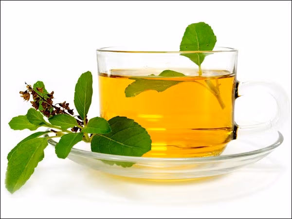 3. Trà quế và húng: Húng quế giúp loại bỏ đờm từ ống phế quản và giảm viêm. Còn bột quế chống virut và giảm nhiễm trùng. Trà quế và húng sẽ làm dịu các triệu chứng viêm phổi. Bạn cần chuẩn bị 3-4 lá húng tươi và một mảnh, 2 chén nước. Cách làm là cho lá húng và quế dính vào ấm nước đun sôi. Có thể thêm mật ong vào rồi uống. Ảnh: Boldsky.