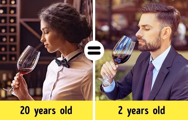 2. Rượu để càng lâu càng ngon: Mỗi chai rượu có ngày hết hạn riêng, vì vậy, bạn không thể tích trữ rượu quá lâu. Mỗi loại rượu đều có độ “tuổi” lý tưởng: ví dụ, một số loại rượu vang nên được tiêu thụ trong năm đầu tiên và bạn không thể dự trữ chúng lâu hơn. Ngoài ra, còn có một số loại rượu không nên uống trước 10-20 năm bởi lúc đó, vị của chúng sẽ rất tệ. Ảnh: Depositphotos.