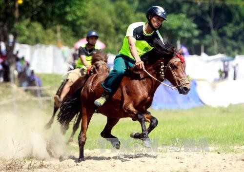 Giải đua ngựa tại xã Sơn A, huyện Văn Chấn, Yên Bái. Ảnh: Thế Duyệt/TTXVN.