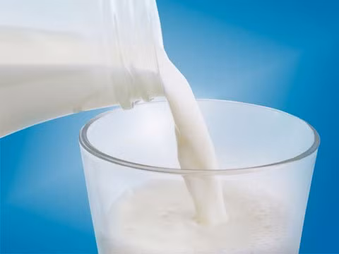 Sữa: Trên thị trường, có một số loại sữa chứa probiotic. Một số nghiên cứu đã kết luận rằng sữa chứa probiotic có thể gây ra đầy bụng ở trẻ em và người cao tuổi, do đó, những đối tượng này nên cân nhắc trước khi sử dụng. Ảnh: RD.