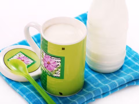 Nấm sữa kefir: Nấm sữa kefir có hàm lượng lợi khuẩn nhiều gấp 10 lần so với sữa chua thông thường nhưng hương vị tương đối giống nhau. Nấm sữa được làm bằng cách cấy sữa hoặc bất kỳ chất lỏng nào như nước dừa với các vi khuẩn có lợi. Loại thực phẩm này rất tốt cho dạ dày, hệ miễn dịch và kiểm soát cân nặng. Ảnh: RD.