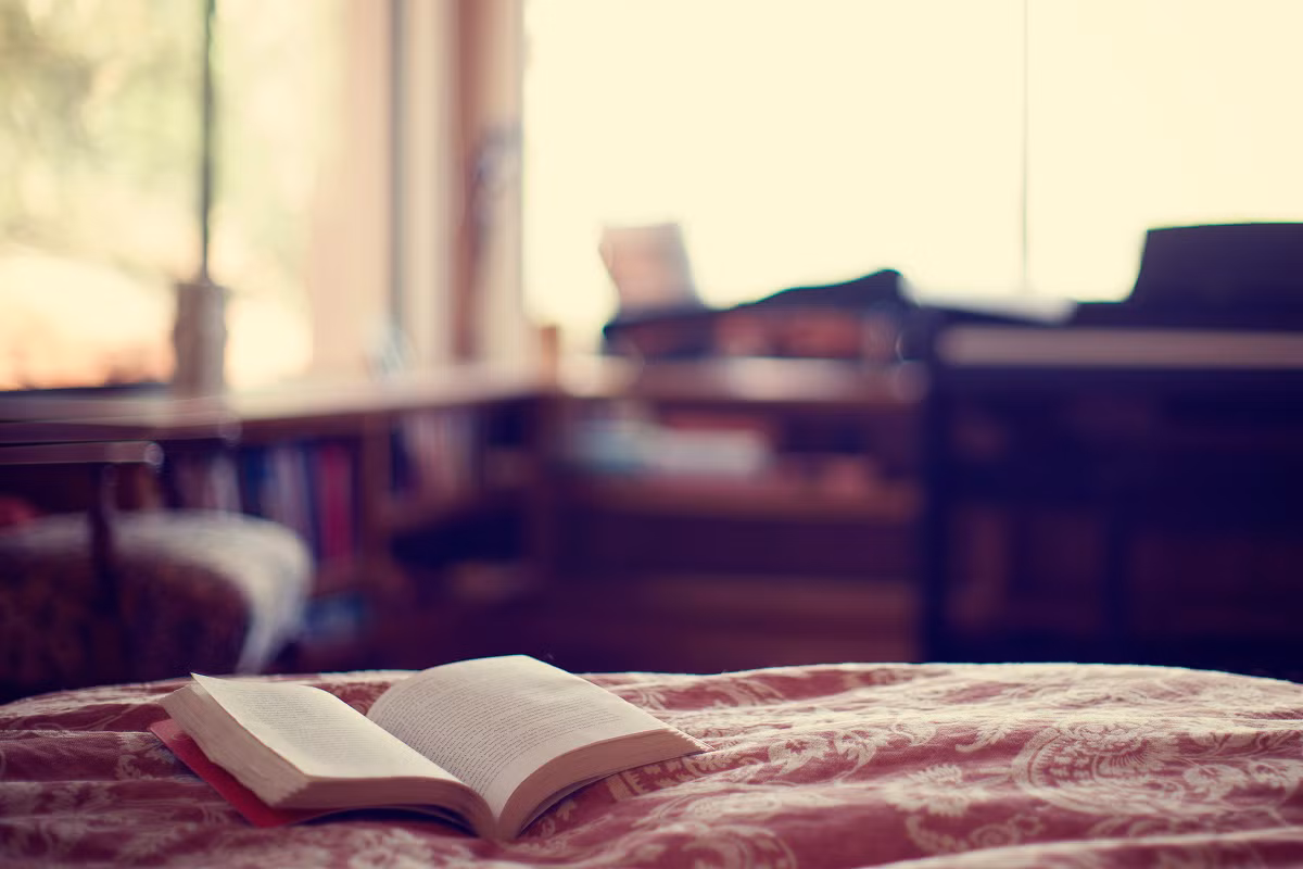 Đọc sách ban đêm trong ánh sáng mờ sẽ không làm tổn thương đôi mắt của bạn. Điều tồi tệ nhất có thể xảy ra là bạn có thể bị đau đầu. Ảnh: Istock.