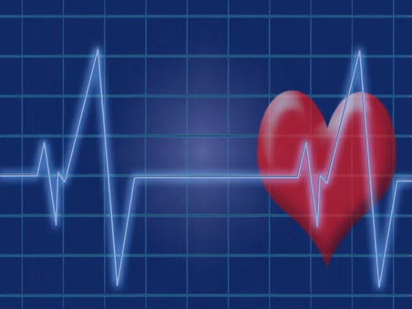 5. Tốt cho tim mạch: loại gia vị đắt đỏ này giàu chất crocetin, một hợp chất chống oxy hóa. Một số nghiên cứu đã chỉ ra rằng crocetin giúp làm giảm mức cholesterol trong máu và giúp ngăn ngừa bệnh liên quan đến tim. Ảnh: Boldsky.