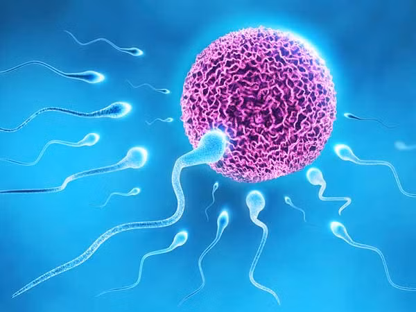 Tăng khả năng sinh sản ở nam giới: Tắm nước lạnh được cho là làm tăng số lượng tinh trùng ở nam giới. Khi số tinh trùng ở nam giới tăng lên, điều này dẫn đến sự gia tăng khả năng sinh sản. Ảnh: Boldsky.