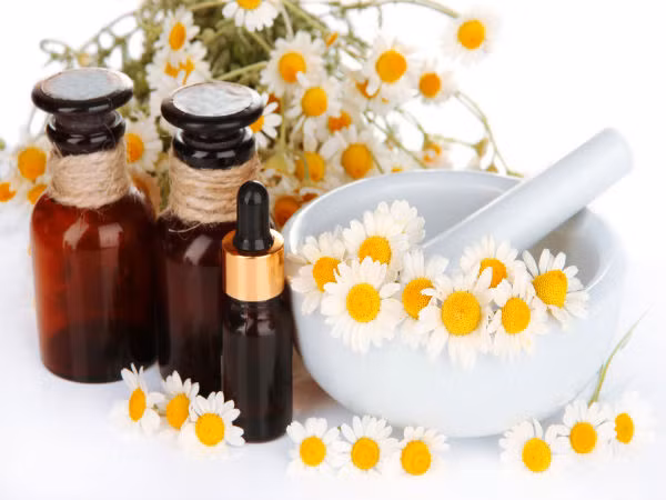 3. Trà hoa cúc: Loại trà này có lợi cho việc giảm cân, điều trị bệnh tật và cải thiện sức khoẻ tổng thể. Nó có các tính chất giải độc tự nhiên có tác dụng làm sạch các độc tố và làm giảm trọng lượng cơ thể. Trà hoa cúc cũng có ích trong việc giảm sự thèm ăn, do đó làm giảm cơn thèm bánh ngọt và kem vào ban đêm. Ảnh: Boldsky.