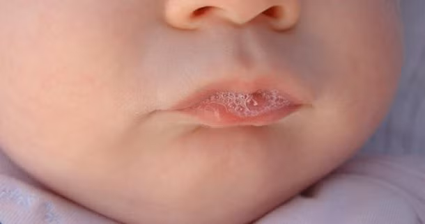 8. Mỗi ngày một người tiết ra khoảng 1,7 lít nước bọt. Nước bọt giúp việc nhai và tiêu hóa thực phẩm trước khi nuốt dễ hơn, điều hòa lượng axit trong khoang miệng, tránh răng bị ăn mòn. Nước bọt còn chứa ẩn nhiều bí mật sinh học, được ứng dụng trong chế tạo vắc-xin và thuốc. Ảnh: Livescience.