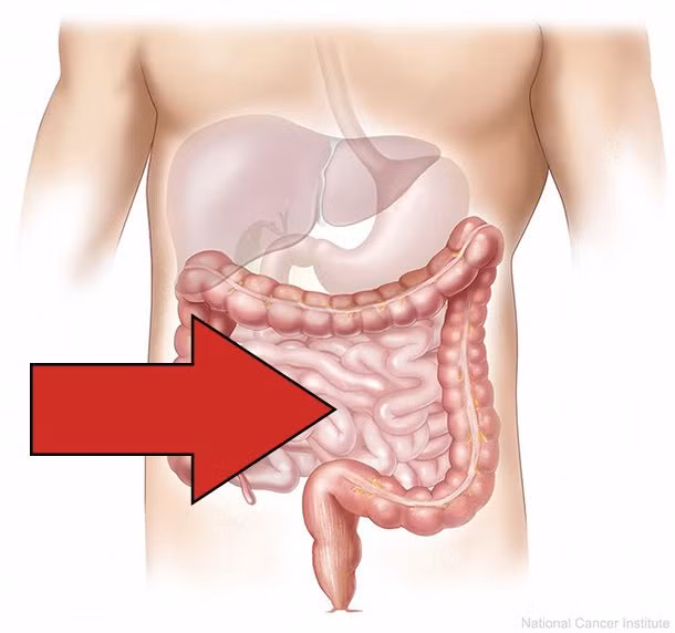 5. Lượng thức ăn trung bình một người trưởng thành ở Mỹ tiêu thụ trong 1 năm là 907kg. Ảnh: Diet.