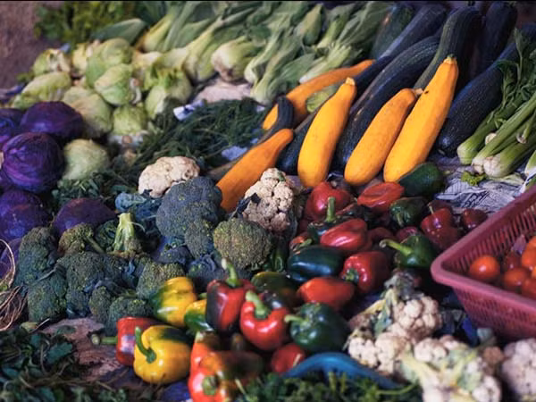 Bước đầu tiên và quan trọng nhất để có đôi chân thon thả là duy trì một chế độ ăn uống cân bằng, đặc biệt là khi bạn không muốn phải tới phòng tập thể dục. Ảnh: Boldsky.