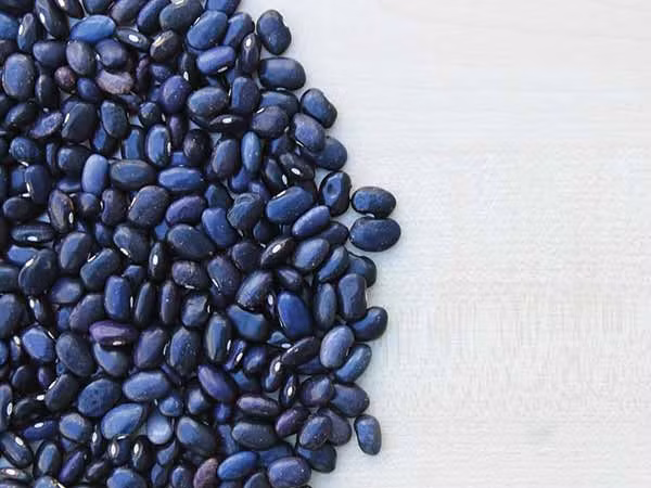 Bên cạnh việc giàu protein (nửa cốc có chứa 7,3g protein), đậu đen cũng chứa chất béo có lợi cho tim và anthocyanin lành mạnh cho não, làm tăng sức mạnh trí não. Ảnh: Boldsky.