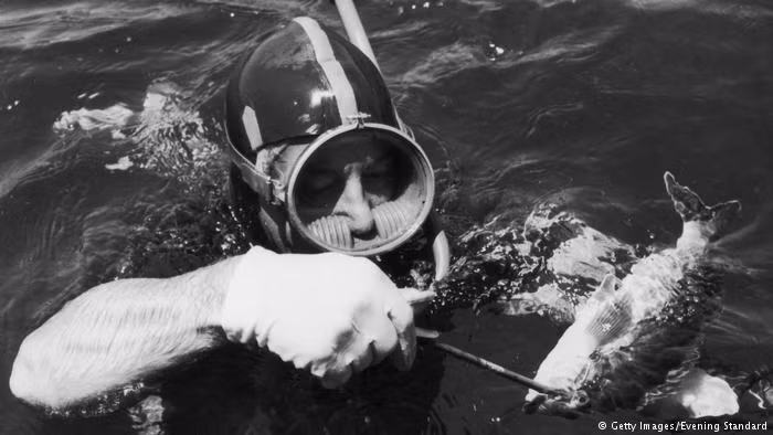 Thủ tướng Úc Harold Holt là người thích bơi lặn và câu cá.