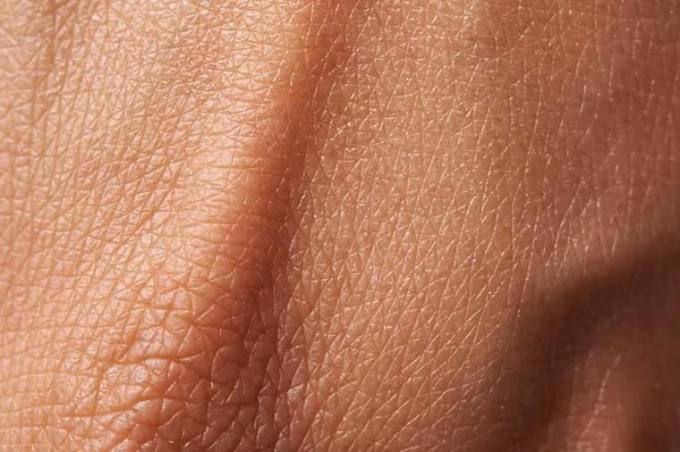 1. Làn da là cơ quan lớn nhất trên cơ thể: Da có thể coi như một cơ quan của con người, chiếm tới 12-15% thể trọng của một người khỏe mạnh. Mỗi người có tới 300 triệu tế bào da. Ảnh: Shutterstock.