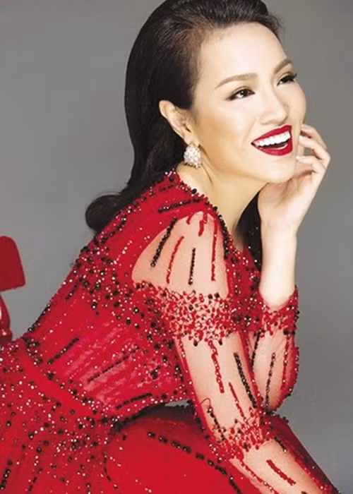 Sau khi kết hôn, sinh con, Phan Thu Lan mất giọng hát. “Khi đó con tôi còn chưa được một tuổi. Sau khi sinh con thì tôi bị mất giọng, đến câu ru con cũng hát không nổi. Những lúc ấy tôi cảm thấy thật bất lực. Là ca sĩ mà mất giọng thì nghiệt ngã đến thế nào chứ? Tôi đã thử nhiều cách từ uống kháng sinh, uống thuốc Nam, bấm huyệt... đều không đỡ”, cô chia sẻ trên VOV. Ảnh: Thể Thao Văn Hóa.