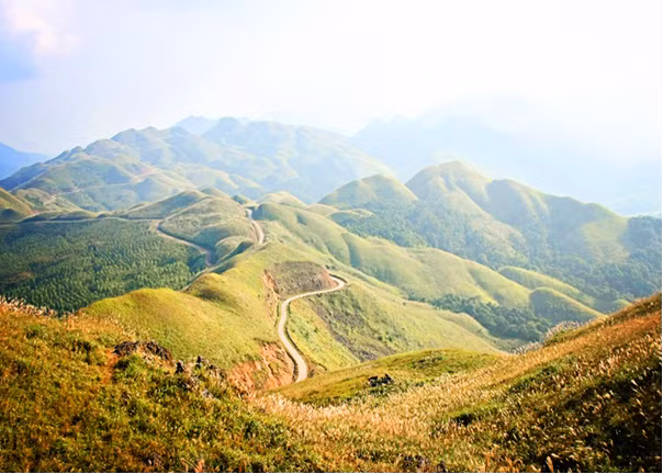 Du lich trai nghiem mua co lau bien gioi-Hinh-2