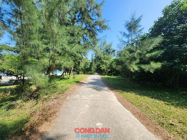 Chiem nguong Co To, hon dao dep me dam trong nang thu-Hinh-2