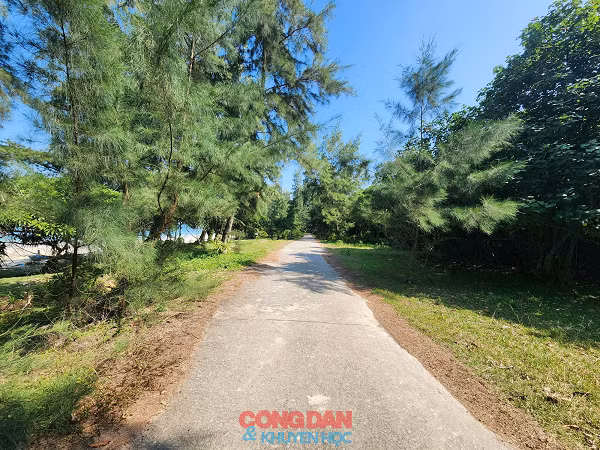 Chiem nguong Co To, hon dao dep me dam trong nang thu-Hinh-2