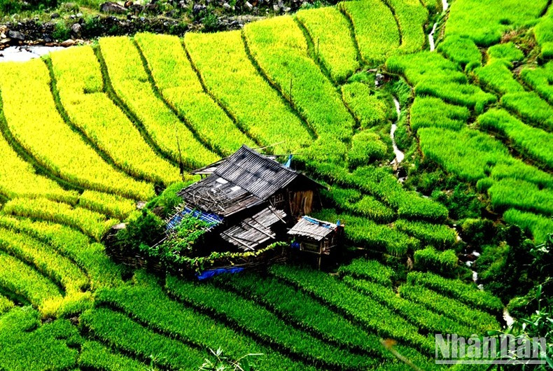 Bao quanh ngôi nhà đẹp như bức tranh. (Ảnh: QUỐC HỒNG)