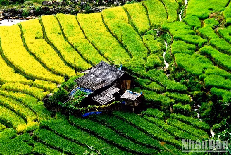 Bao quanh ngôi nhà đẹp như bức tranh. (Ảnh: QUỐC HỒNG)